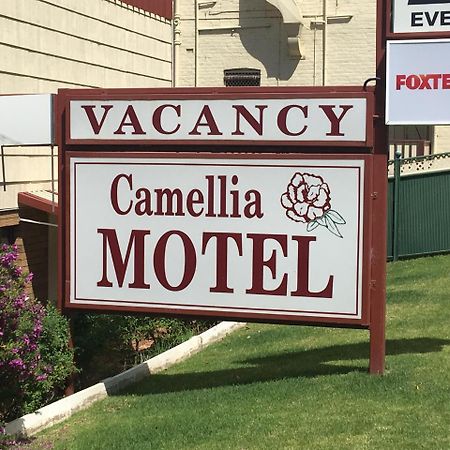 Camellia Motel Narrandera Exteriér fotografie
