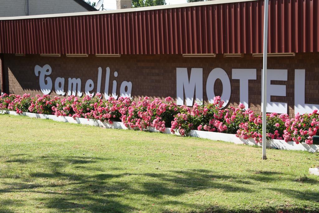 Camellia Motel Narrandera Exteriér fotografie