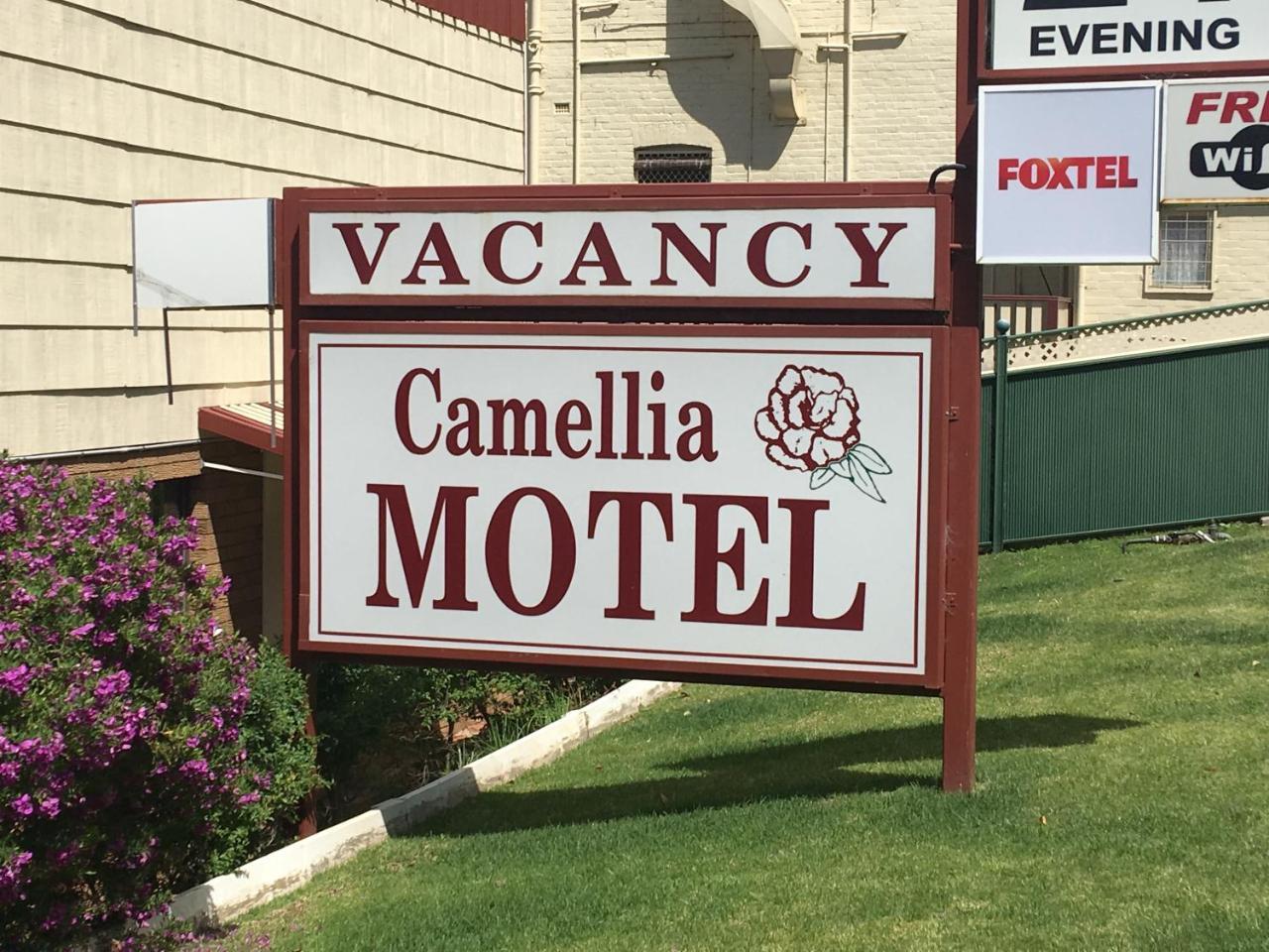 Camellia Motel Narrandera Exteriér fotografie